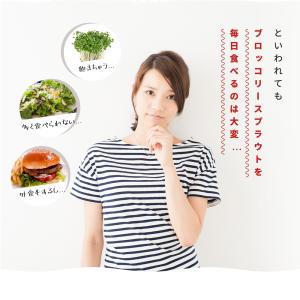 ブロッコリースプラウト サプリ サプリメント ...の詳細画像4