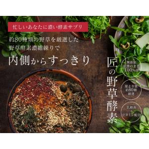 サプリ サプリメント サプリ サプリメント 匠...の詳細画像1