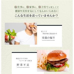 サプリ サプリメント サプリ サプリメント 匠...の詳細画像2