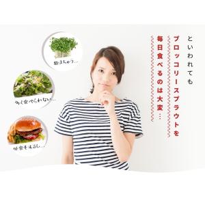 ブロッコリースプラウト サプリ サプリメント ...の詳細画像5