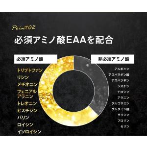 1日3000mgのHMBを高配合 HMBカルシ...の詳細画像5