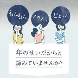 サプリ サプリメント黒高麗人参 約1ヵ月分の詳細画像2