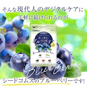 サプリ サプリメント ブルーベリー 約1ヵ月分...の詳細画像5
