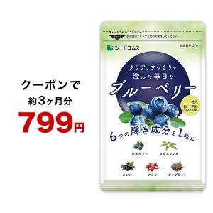 で799円 サプリ サプリメント ブルーベリー 約3ヵ月分