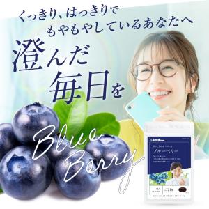 サプリ サプリメント ブルーベリー 約6ヵ月分...の詳細画像1