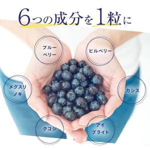 サプリ サプリメント ブルーベリー 約6ヵ月分...の詳細画像2