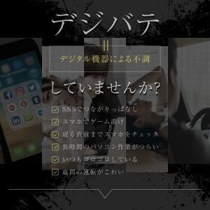サプリ サプリメント ブルーベリー 約6ヵ月分...の詳細画像3