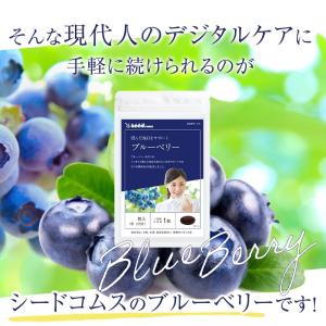 サプリ サプリメント ブルーベリー 約6ヵ月分...の詳細画像5