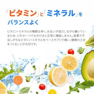 マルチビタミン&マルチミネラル 約3ヵ月分 サ...の詳細画像5