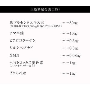 NMN 配合 1カプセルに4,000mg配合 ...の詳細画像2