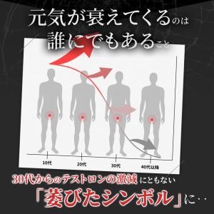 20倍濃縮マカ+100倍濃縮トンカットアリ配合...の詳細画像4