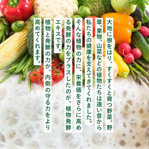 450種類の野菜 野草 果実 海藻 キノコ 豆...の詳細画像3