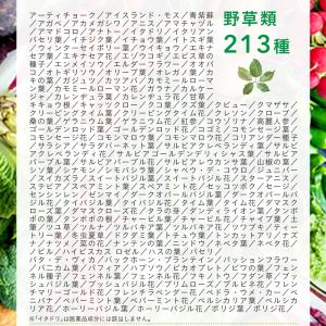 450種類の野菜 野草 果実 海藻 キノコ 豆...の詳細画像5