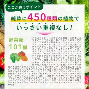 サプリ サプリメント 450種類の野菜 野草 ...の詳細画像5