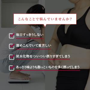 炭 チャコール配合 サラシアブラック 約1ヵ月...の詳細画像2