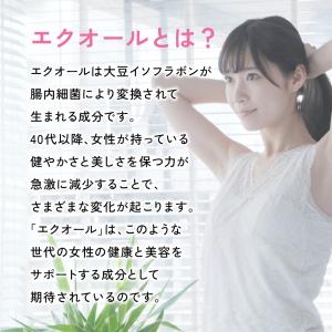 エクオール 1カプセル10mgのエクオール配合...の詳細画像3