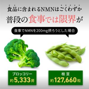 NMN サプリ 約1ヵ月分 nmn 日本製造 ...の詳細画像3