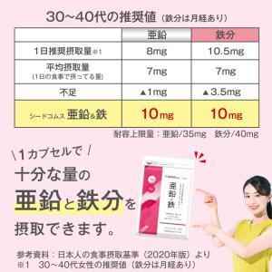 栄養機能食品 亜鉛&鉄 約12ヵ月分 1カプセ...の詳細画像3