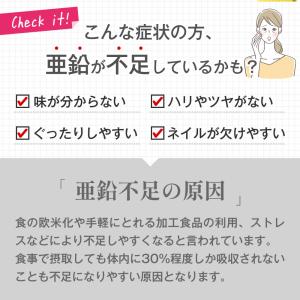 栄養機能食品 亜鉛&鉄 約12ヵ月分 1カプセ...の詳細画像4