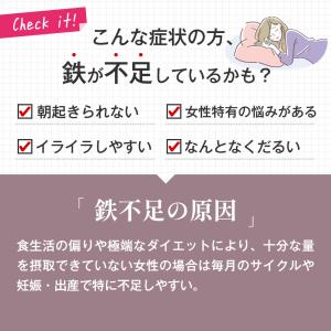 栄養機能食品 亜鉛&鉄 約12ヵ月分 1カプセ...の詳細画像5