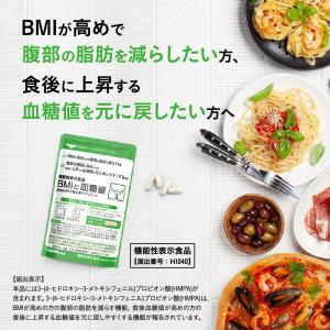 腹部の脂肪や血糖値が気になる方へ BMIと血糖...の詳細画像1