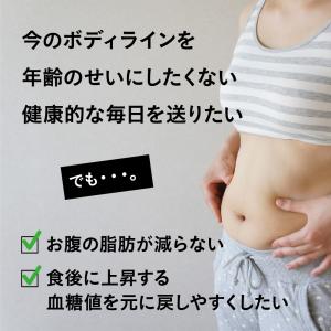 腹部の脂肪や血糖値が気になる方へ BMIと血糖...の詳細画像2
