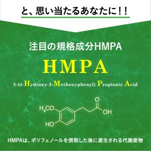 腹部の脂肪や血糖値が気になる方へ BMIと血糖...の詳細画像4