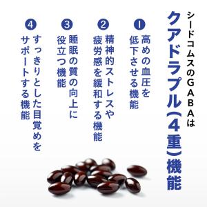 サプリ サプリメント 血圧 睡眠 ストレス G...の詳細画像4