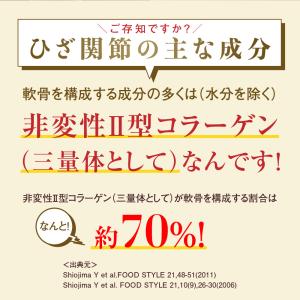 サプリ サプリメント ひざ関節と腰 機能性表示...の詳細画像2