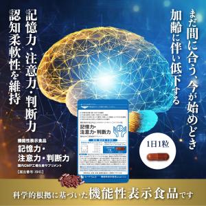 サプリ サプリメント 記憶力・注意力・判断力 ...の詳細画像1