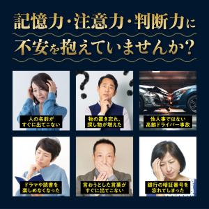 サプリ サプリメント 記憶力・注意力・判断力 ...の詳細画像3
