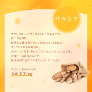 サプリ サプリメント サラシアヘルス+ 約1ヵ...の詳細画像4