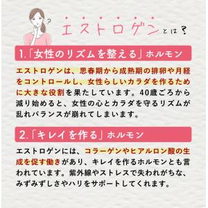 アグリコン型大豆イソフラボン26mg高含有 大...の詳細画像4