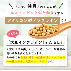アグリコン型大豆イソフラボン26mg高含有 大...の詳細画像5