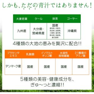 【福袋2026】 プラセンタ入り輝きの青汁 3...の詳細画像2