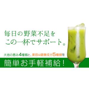 【福袋2026】 プラセンタ入り輝きの青汁 3...の詳細画像3