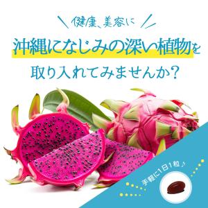 サプリ サプリメント メリロートエキス ヒハツ...の詳細画像1