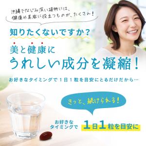 サプリ サプリメント メリロートエキス ヒハツ...の詳細画像2