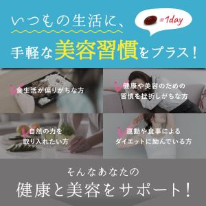 サプリ サプリメント メリロートエキス ヒハツ...の詳細画像4