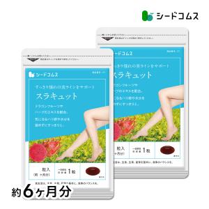 ワミレス バイオサポート 1.1g×36包入 : セラフィーネット Yahoo