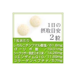 サプリ サプリメント コエンザイムQ10 アル...の詳細画像1