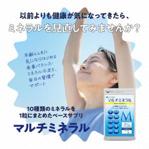 サプリ サプリメント マルチミネラル サプリ ...の詳細画像1