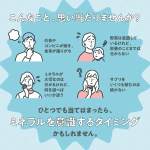 サプリ サプリメント マルチミネラル サプリ ...の詳細画像2