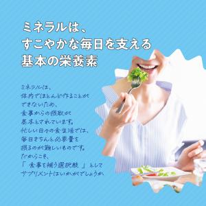 サプリ サプリメント マルチミネラル サプリ ...の詳細画像3