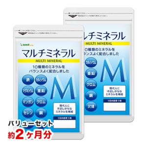 サプリ サプリメント お試し ポイント消化 バリューセット マルチミネラル 約2ヵ月分　お試しセール限定価格　サプリ　サプリメント ダイエット