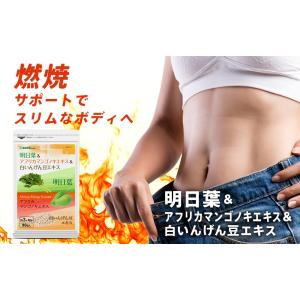 サプリ サプリメント 明日葉 アフリカマンゴノ...の詳細画像1