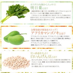 公式サイト 送料無料魅惑のカラダセット サプリメント補正インナーダイエット美容健康ダイエットサポート 補正下着 Www Gruposidegoncalo Com Br
