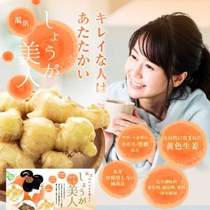 サプリ サプリメント 長崎県産しょうが使用 し...の詳細画像1