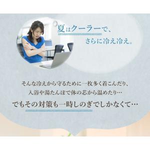 サプリ サプリメント 長崎県産しょうが使用 し...の詳細画像3
