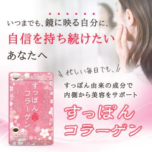 サプリ サプリメント サプリ サプリメント 弾...の詳細画像1